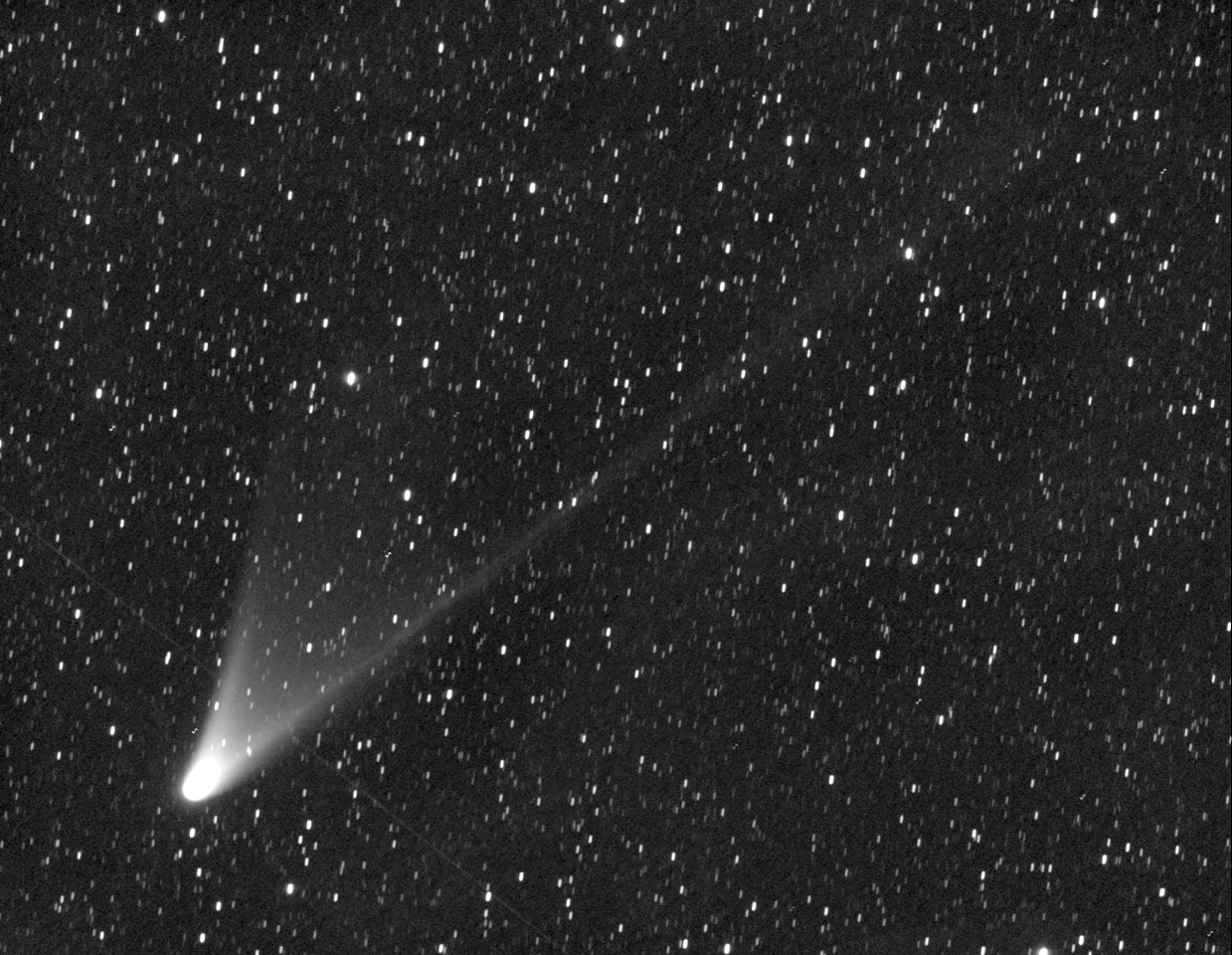 Cometa PANSTARRS Imagem de T. Lovejoy (Australia_HR)